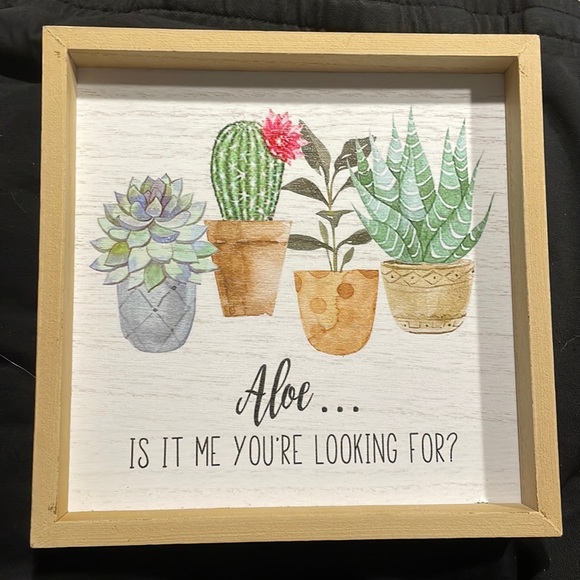 Succulent plant picture 8x8 - Picture 1 of 1